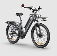 A DECE OASIS ADO 260T Tovorno e-kolo z dvema baterijama