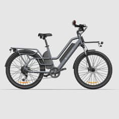 A DECE OASIS ADO 260T Tovorno e-kolo z dvema baterijama
