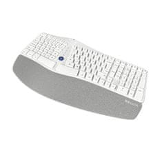 Delux Brezžična ergonomska tipkovnica Delux GM901D BT+2.4G (bela)