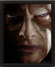 Epee Harry Potter - Harry vs Voldemort 3D slika