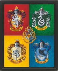 Epee Barvna 3D slika Harryja Potterja