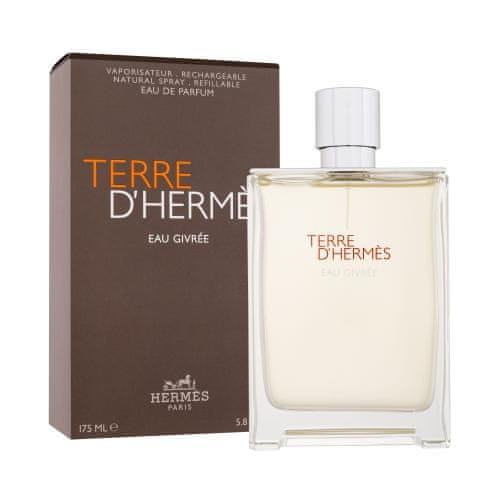 Hermès Terre d´Hermès Eau Givrée parfumska voda za moške