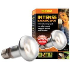 EXO TERRA Žarnica Intense Basking Spot 50W
