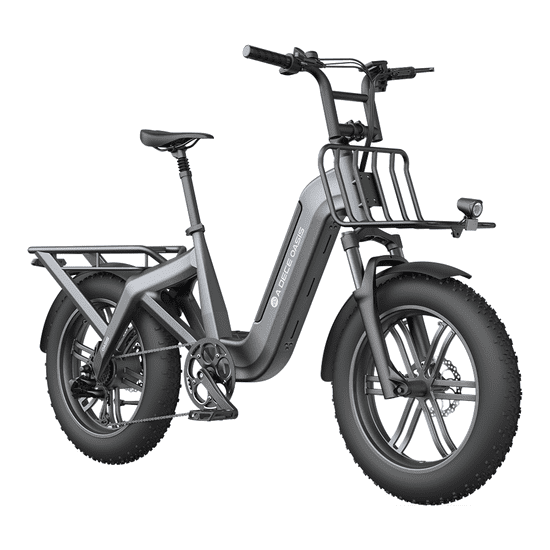 A DECE OASIS Oasis One 200T, tovorno električno kolo, fatbike, sivo