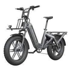 A DECE OASIS Oasis One 200T, tovorno električno kolo, fatbike, sivo
