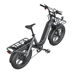 A DECE OASIS Oasis One 200T, tovorno električno kolo, fatbike, sivo