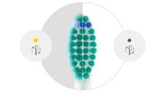 Philips Sonicare nadomestne glave ProResults HX6014/87 4 kos.