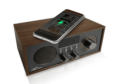 LTC Tranzistor analogni Brda 511BC, FM, BT, USB, 10W, 2200mAh
