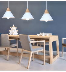 Toolight Stropna svetilka SCANDI C Black