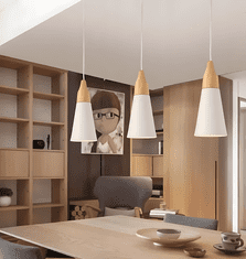 Toolight Stropna svetilka SCANDI B Bela