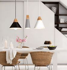 Toolight Stropna svetilka SCANDI B Bela