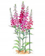 Planta Okrogla opora za rastline 76 cm Trdna opora za rože