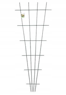 Planta Pahljačasta opora za vzpenjavke 150x60cm Stabilna opora za vrt