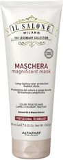 Maska za barvane lase (Magnificent Mask) (Neto kolièina 500 ml)