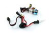 AMiO HID H1 Xenon žarnica, 4300K