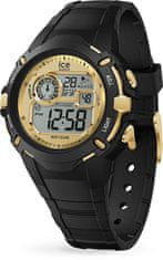 ICE Digit Explorer 024009