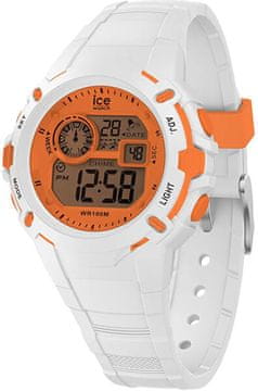 ICE Digit Explorer 024002