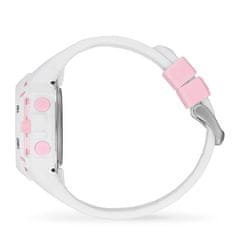 ICE Digit Explorer 024001