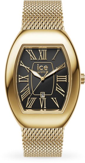 Ice-Boliday Dome 024486