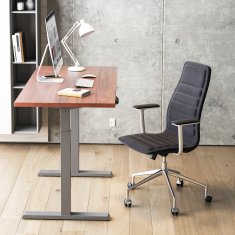 slomart Ergo Office električna pisalna miza z nastavljivo višino, siva, maks. višina 123 cm, 80 kg - brez vrha, za stoječe in sedeče delo, ER-433