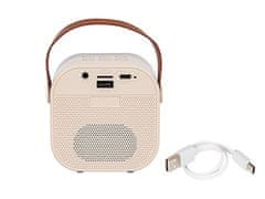 Blow 30-359# Bluetooth karaoke zvočnik rgb 1 mikrofon