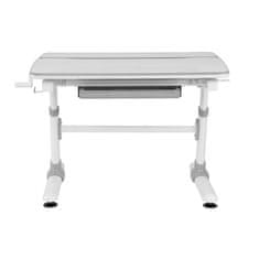 Ergo Office Ergo Office otroška ergonomska miza z nastavljivo višino, siva, največ 100 kg, ER-417 2cz