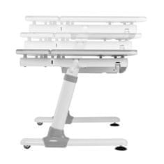 Ergo Office Ergo Office otroška ergonomska miza z nastavljivo višino, siva, največ 100 kg, ER-417 2cz