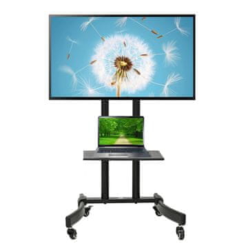 Maclean TV stojalo Maclean, profesionalno, na kolesih, max 32-65", max 40kg, MC-739