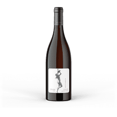 marinic Vino Refosco 2020 Domaine Erigone 0,75 l