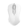 Dareu Brezžična miška LM115G 2.4G 800-1600 DPI (bela)