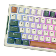 Royal Kludge Brezžična mehanska tipkovnica RKH81 RGB, Sky cyan stikalo (zeleno)