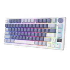 Royal Kludge Brezžična mehanska tipkovnica RKM75 RGB, srebrno stikalo (modra)
