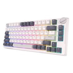 Royal Kludge Mehanska tipkovnica RKH81 RGB, Sky cyan stikalo (bela)