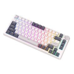 Royal Kludge Mehanska tipkovnica RKH81 RGB, Sky cyan stikalo (bela)