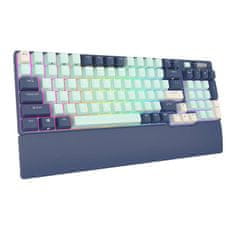 Royal Kludge Mehanska tipkovnica RK96 RGB, rjavo stikalo (modra)