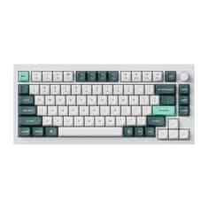 Keychron Q1 HE Brezžična tipkovnica RGB Nebula Magnetno stikalo (belo) [Q1H-P1].