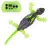 Gecko plazeči kuščar (6070281)