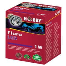 HOBBY Terraristik HOBBY LED fluorescentna nočna lučka za terarij 1W