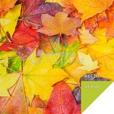 Avenue Mandarine Komplet papirjev Clairefontaine Origami Nature 60 listov