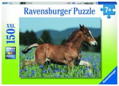 Ravensburger Žrebiček, 150 kosov