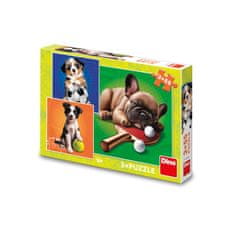 Dino DOG SPORTS 3x55 Puzzle