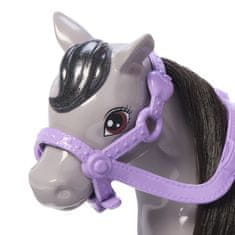 Mattel Barbie Chelsea s ponijem