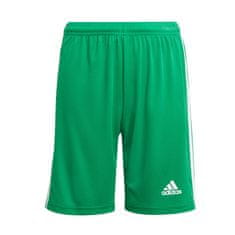 Adidas Hlače obutev za trening zelena 147 - 152 cm/M JR Squadra 21