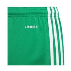 Adidas Hlače obutev za trening zelena 147 - 152 cm/M JR Squadra 21