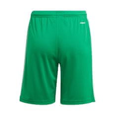Adidas Hlače obutev za trening zelena 147 - 152 cm/M JR Squadra 21