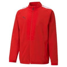 Puma športni puloverji Teamliga Sideline 65726001