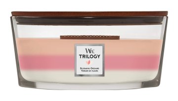 Woodwick SVEČA WW TRILOGY ELLIPSE BLOOMING ORCHARD