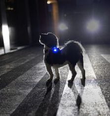 curli Luumi LED polnilna varnostna luč za ovratnik MODRA