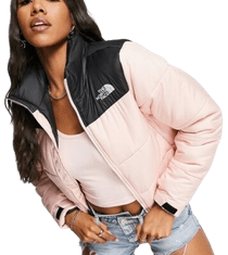 The North Face Jakne uniwersalne roza L NF0A5GGELK6
