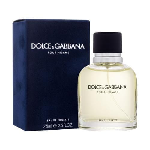 Dolce & Gabbana Pour Homme toaletna voda za moške